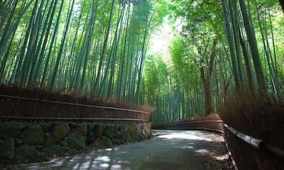 Arashiyama