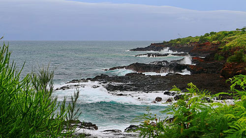 Koloa