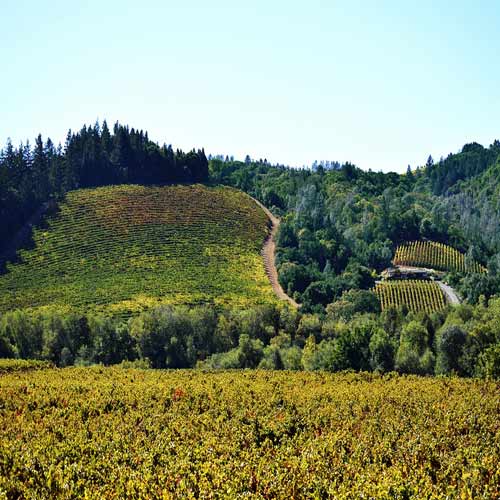 Sonoma and Sonoma Valley