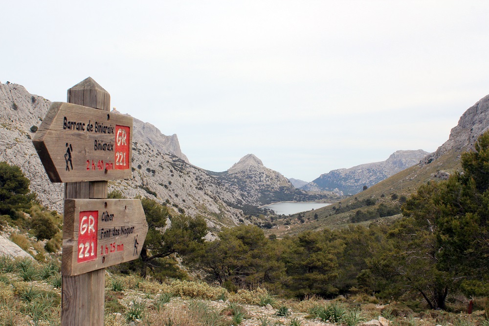 Preciosa vista recorriendo la ruta de Pedra en sèc