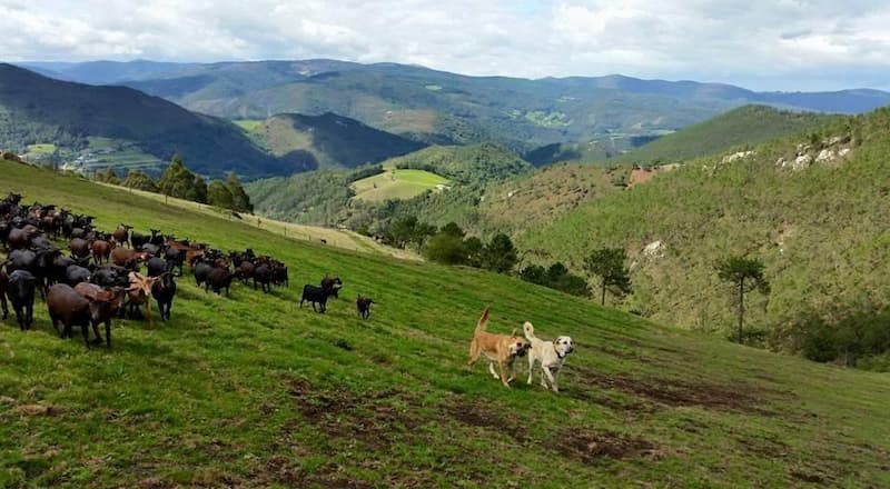 Vistas a la montaña desde el Hotel Rural Yeguada Albeitar
